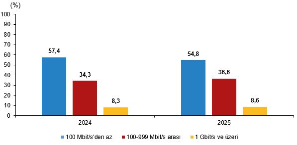 İşletmelerin Dijital Olgunluk Raporu: Sabit Hat, Web Varlığı ve E-ticaret Eğilimleri 2025