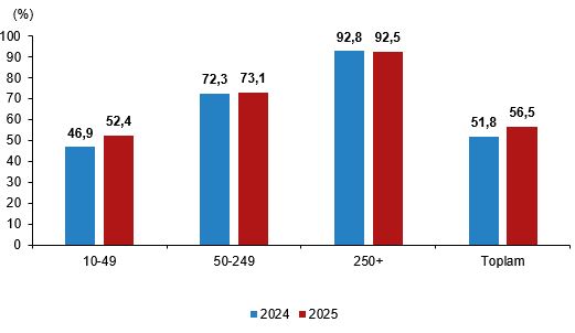 İşletmelerin Dijital Olgunluk Raporu: Sabit Hat, Web Varlığı ve E-ticaret Eğilimleri 2025