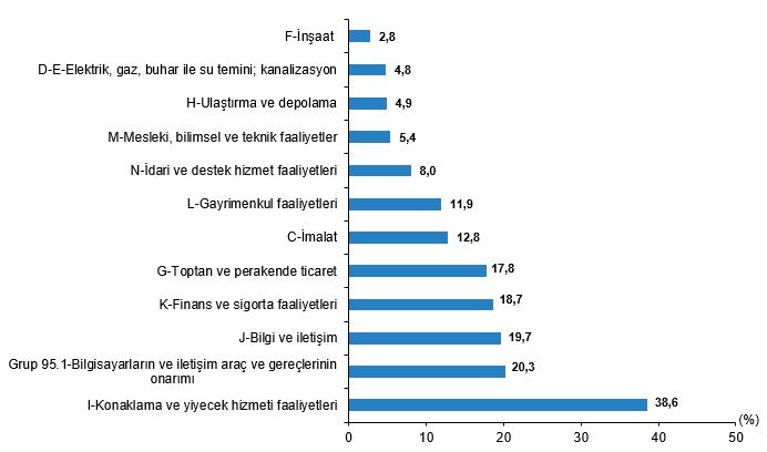 İşletmelerin Dijital Olgunluk Raporu: Sabit Hat, Web Varlığı ve E-ticaret Eğilimleri 2025