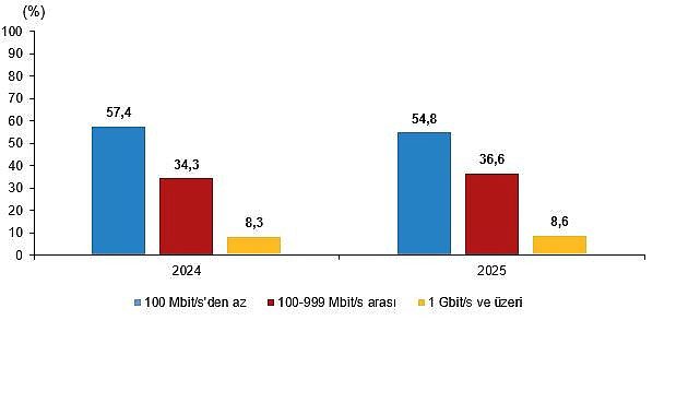 İşletmelerin Dijital Olgunluk Raporu: Sabit Hat, Web Varlığı ve E-ticaret Eğilimleri 2025