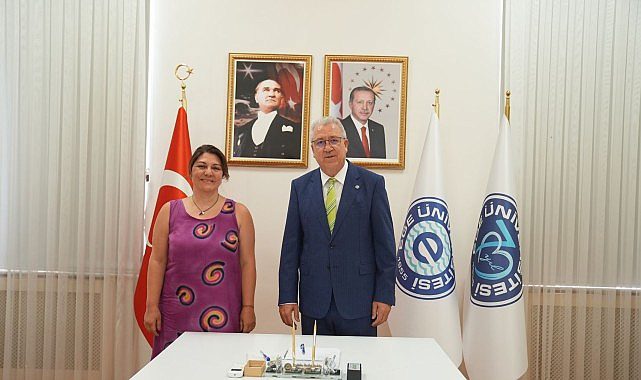 Omurilik Hasarında Hibrit Ekstraselüler ile NanoDoku İskelelerinin Fonksiyonelleştirilmesi: EBioPhase Ekibinin TÜBİTAK Destekli Projesi