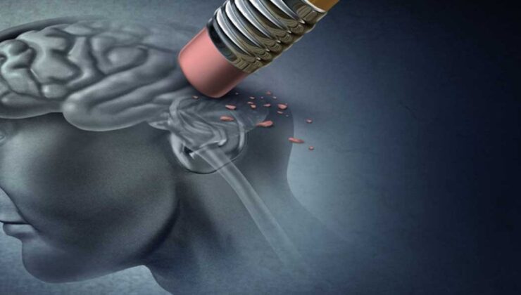 Yaşam Tarzı Değişiklikleriyle Beyin Sağlığı: Alzheimer’a Karşı Üç Ana Strateji